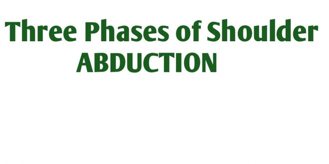 Three Phases of Shoulder ABDUCTION Movement