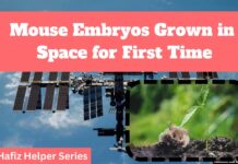 Mouse Embryo grown first time in the Space in the History of the world